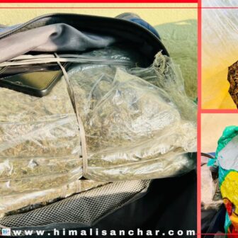 धरानमा खैरो हिरोइन र गाजा सहित ६ जना युवा पक्राउ