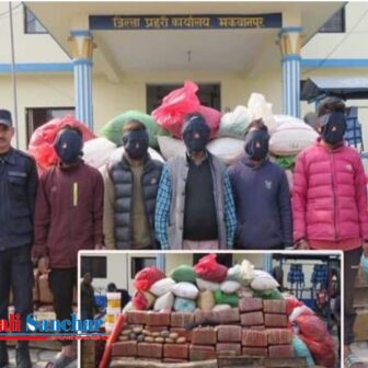 मकवानपुरमा लागूऔषध गाँजा र बन्दुकसहित ५ जना पक्राउ