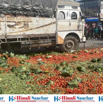 किसानले बजार भाउ नपाउँदाको पीडा सडकमा पोखिएपछि…