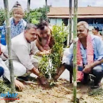 मोरङको रंगेली हुलाकी सडकको सौदर्यता बढाउन वृक्ष रोपन