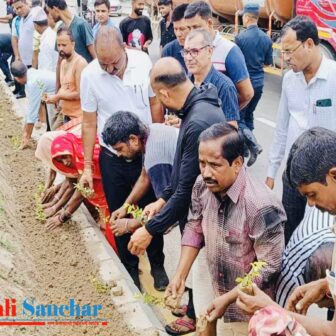 मोरङको रंगेलीमा सडकको डिभाइडरमा नील काँडको विरुवा रोप्न शुरु