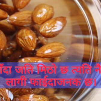 भिजाएर बदाम खानुहोस्, मिल्नेछ यस्तो फाइदा !