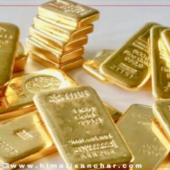 फेरी बढ्यो सुनको मुल्य आज सुनको मुल्यले नयाँ रेकर्ड कायम गऱ्यो