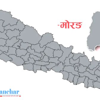 पूर्वाञ्चलको काँकरभिट्टा–लौकही सडक स्तरोन्नति गर्न ११ हजार ५ सय १३ रुख काटिने