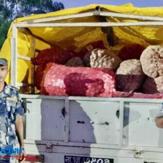 बर्दिवासमा भन्सार छलेर ल्याउदै गरेको प्याज सशस्त्र प्रहरीकाे नियन्त्रणमा