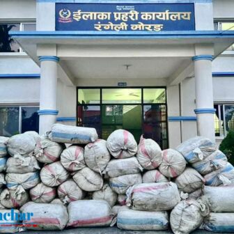 मोरङको रङ्गेली प्रहरीद्वारा १५ सय केजी गाँजा सहित एक युवा पक्राउ (फोटो फिचर)