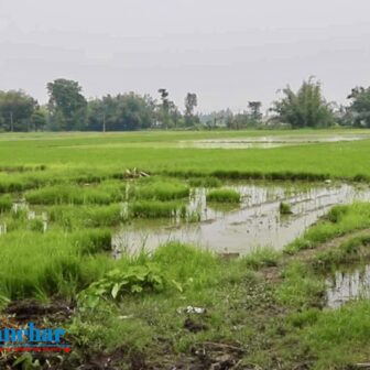 रेडक्रसको जग्गा पूर्ववडा अध्यक्षद्वारा अनाधिकृत रुपमा भोगचलन गर्दै