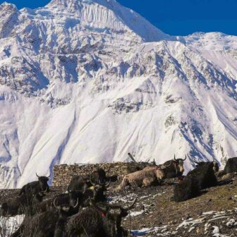 शरद ऋतुमा हिमाल आरोहणका लागि अनुमति लिन सुरु
