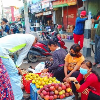 तिहारलाई कोसेली कर्णालीको ‘अग्र्यानिक’ स्याउ