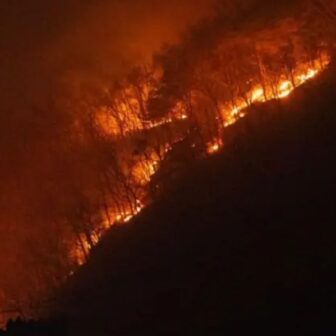 दक्षिण कोरियामा भीषण डढेलो: १८ जनाको मृत्यु, हजारौँ विस्थापित