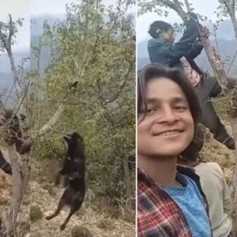 रोल्पामा निर्दोष कुकुरको क्रूर हत्या : दुई किशोर पक्राउ, एक अझै फरार