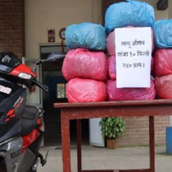 गल्छीबाट १० किलो गाँजासहित युवक पक्राउ