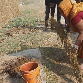 तराईमा गोबरका दाउरा बनाउँदै महिलाहरू