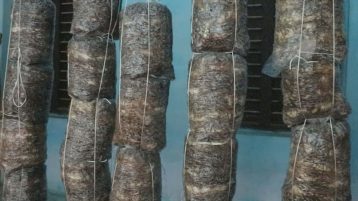 मनकामनाद्वारा जैविक मल तथा च्याउ खेतीसम्बन्धी १५ दिने तालिम सम्पन्न